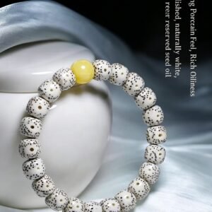 Starry Sky Bodhi Seed Bracelet